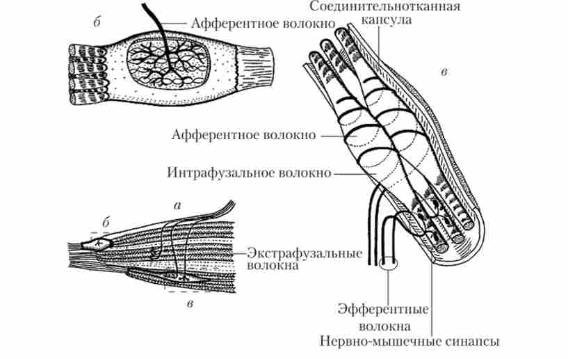 ���������������