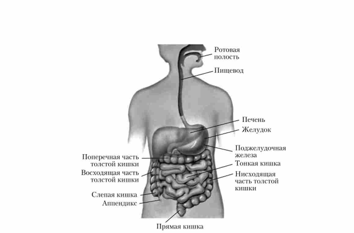 ������� ��������� ������� ������