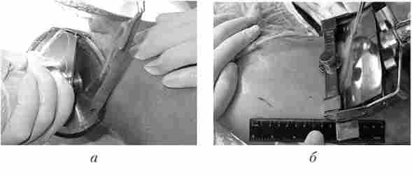 ������� ������������ ������� �������������