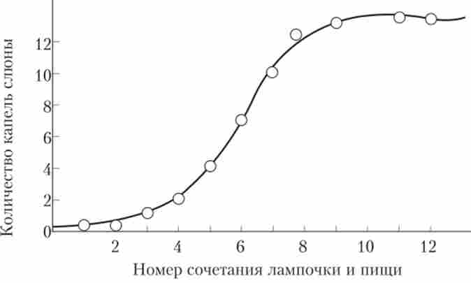 ����� �������� � ���������� ����������� �. �. �������