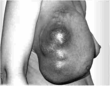 ������� ����� ���� ������� ������