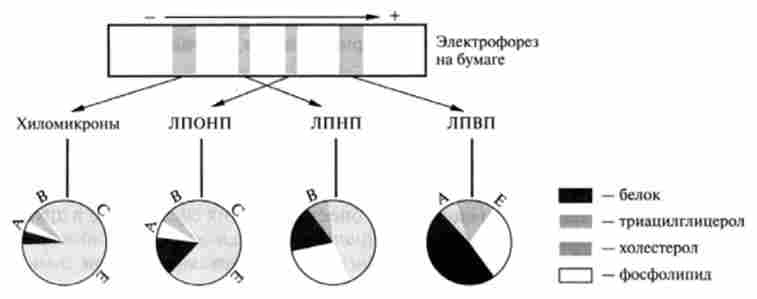 ����� � ���������������� �������������� ����������� ����