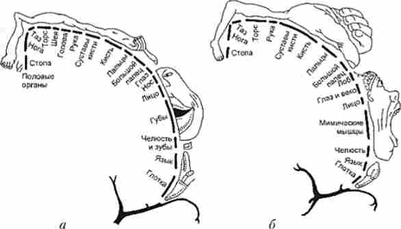 ����� ����������� (��