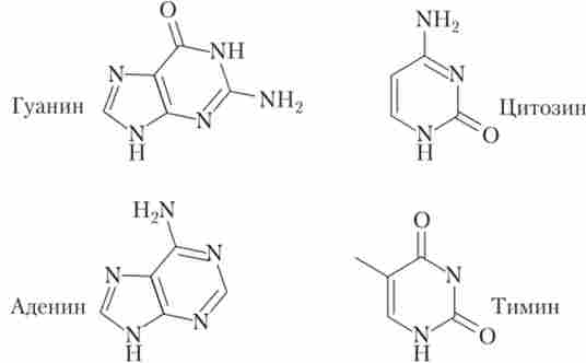 ������ ��������� �����, �� ������� �� ������ ���