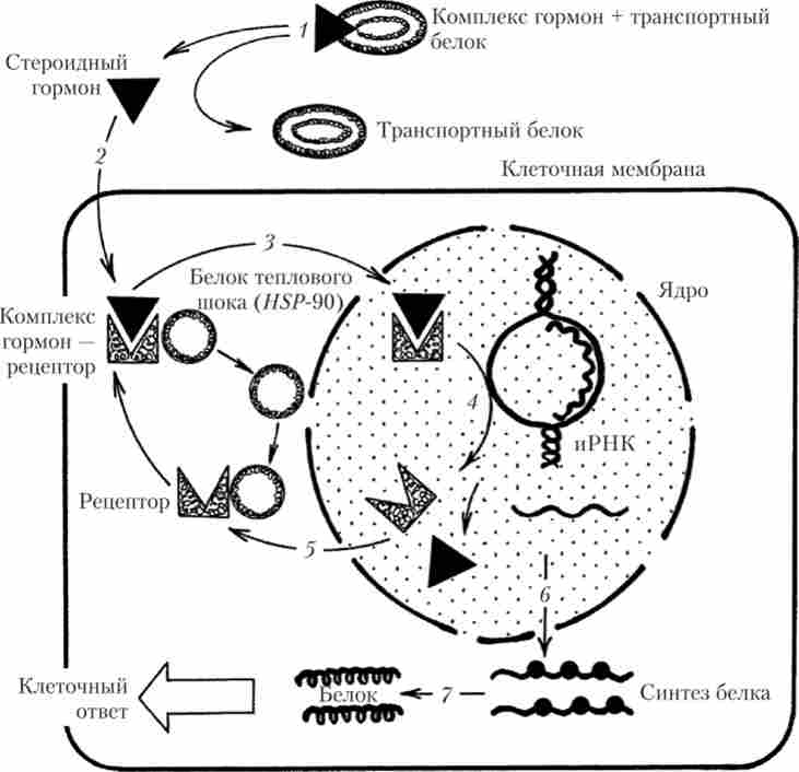 ����� ��������� ��������� ������ ��������� ��������