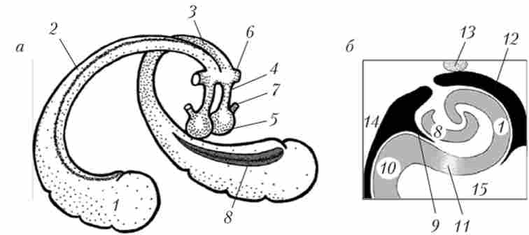 ó������ � ��� (�) � ����� ����������� ���� �������� � ������� � ��� �������� (�)