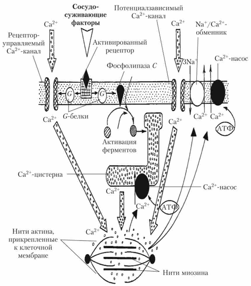 ����� ��������� �������, �� ���������� �� ���������� � ������������ �������'������ ������