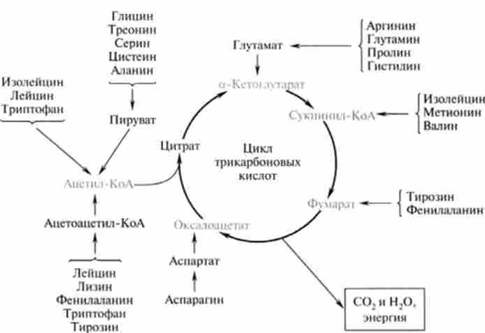 ���������, �� ����������� � ���������� ������� ����������