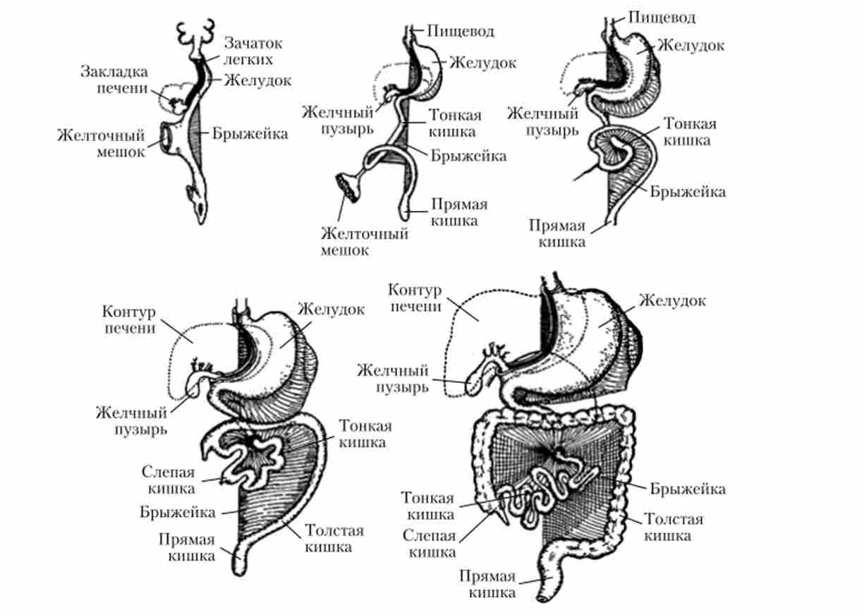 �������� ������� ��������� � ������������ ����� �������� �����, ��� �� ���� ������� ����� ����������� �� �������, ������� � �����