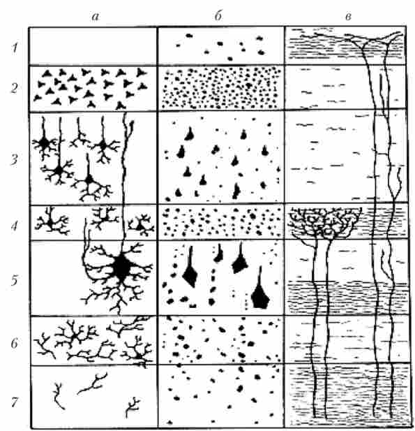 ������� ������ ���� ���� ������� ������ ��� ����� �������� �� �����������