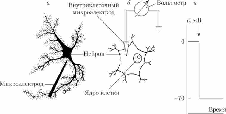 ��������� ���������� ������ �������