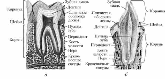������ �������� �������� (�) � ������ �������� (6) ���� ��� ��������� ��������� ���������������� ������� ���������� � ���� ���������