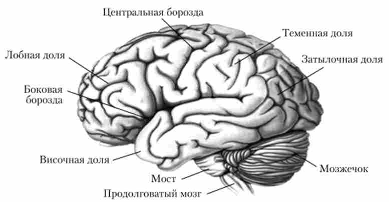 �������� ����� ������, ��� �����