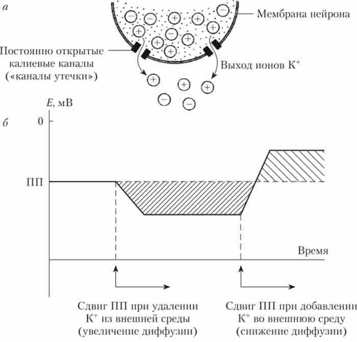 ���� ����� � � ���������� � �������� ���������� ������ (��)