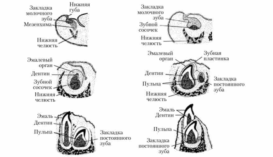 ��������� ���䳿 �������� ����