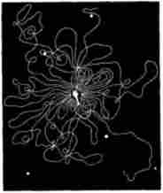 ���������� �������������� �������� ��� ����������� �2, �������� 䳿 ����������� ����