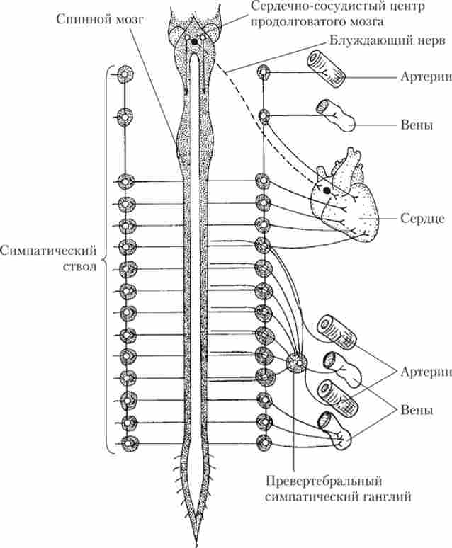 ����� ��������� ������ �������� ������ � ������ ���������� ��������� �������-������� �������