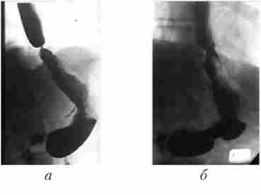 ������ �����������������������