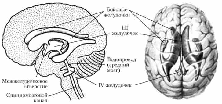 �������� ��������� �����