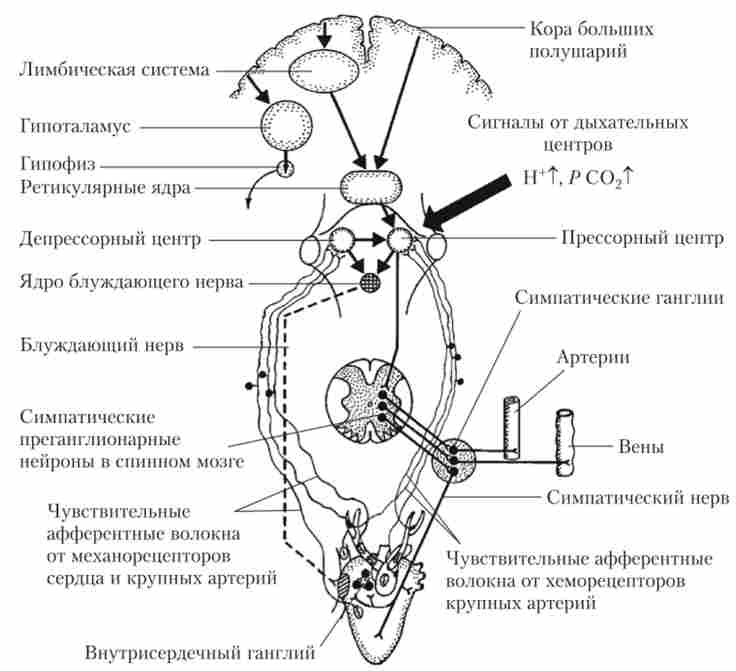����� �������� ��'���� �������-��������� ������������� ������ ���������� �����