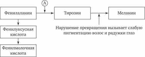 ������� ����� ����� ������������