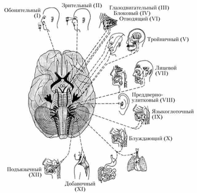 �������-������ ����� ������