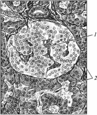 ������ ���������� ������