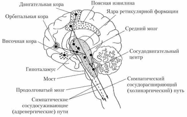 ������ ��������� �����, �� ������ ������ � ��������� ���������, � ��'������ �� �����