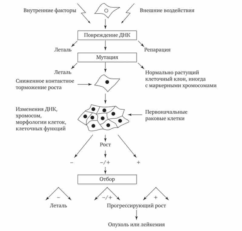 ��������� ������� �� ������� ���������� ������������ ������