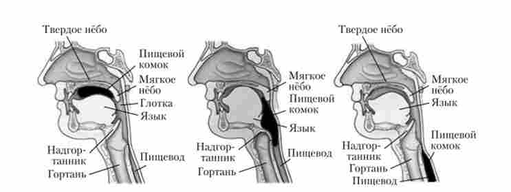 ���������� ������� ������ � ����������� ���� �������� ������ ��� ��������