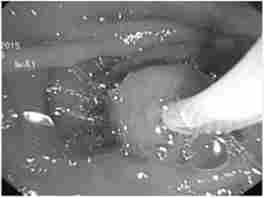 ���� ����������� ���������������������