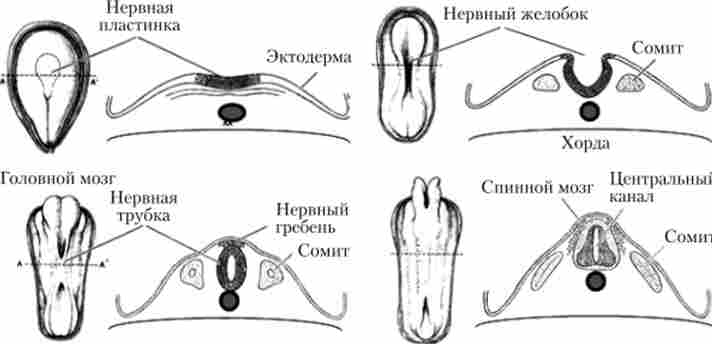 ���������� � �������� ������� ������ ������� ������ � ��� ����� - �'��� ������