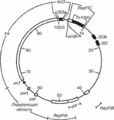 ��������� ����� ������� F