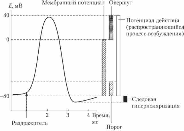 ��������� 䳿