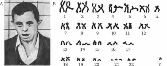 ������� �����쳿 21 (������� �����)