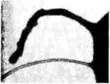 ���������� �������������� ������� ���� ������ � ������������� �������������