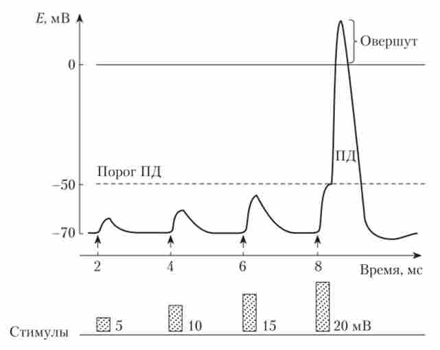 �������� ���������� 䳿 ��� ����������� ������� ����������� �� ��������� ������������ ���������