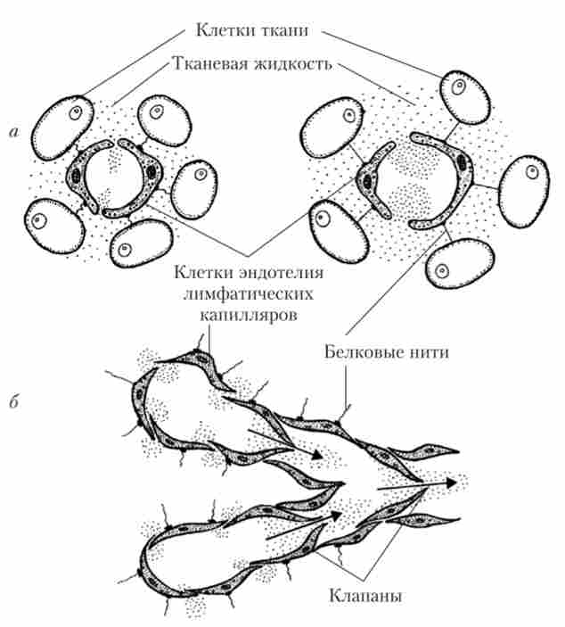 ���������� ������ � �������������� ���������� �������