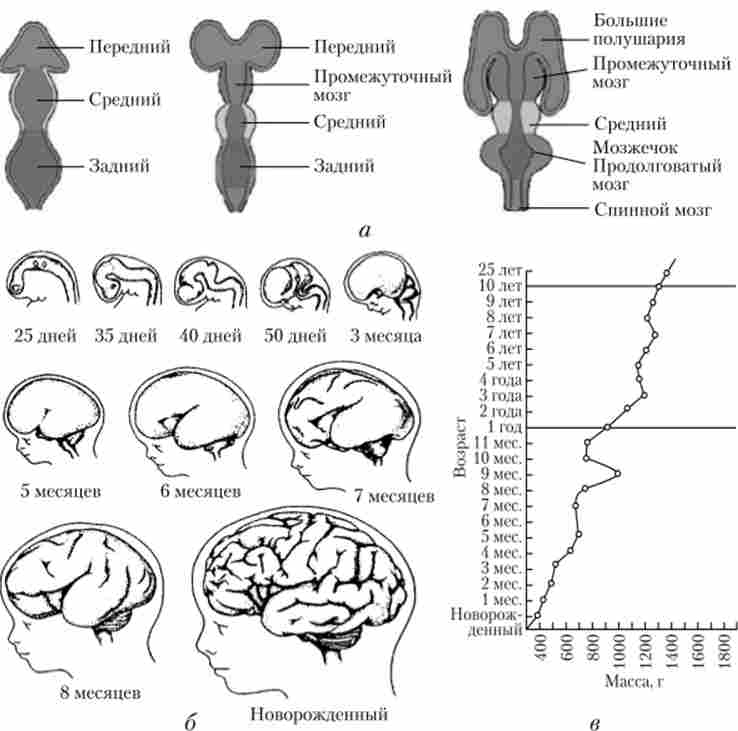 �������� ��������� ����� ������ � ������������ �����