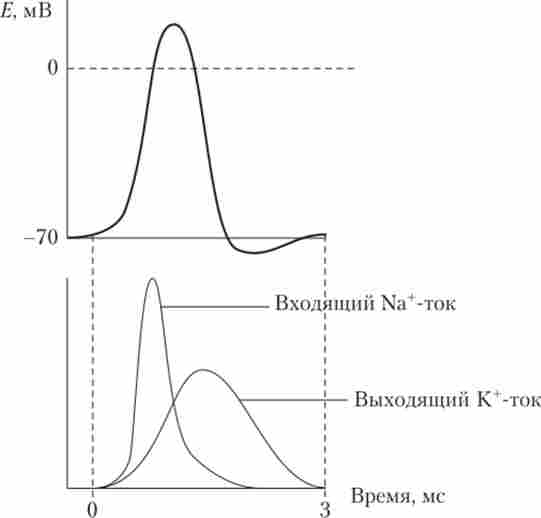 ������� ��������������� ������ ������ ��� �������� ���������� 䳿