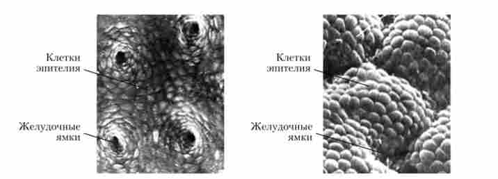 �������� ������� �������� ��� ������ (���������� �������� ���������)