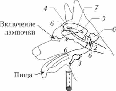 ��. ����� ����� ���������� �������� �������� ������������� � ������� �� ��������� ��������