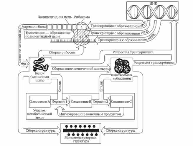 ���� �������� ���������� � ������