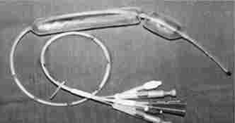 ����-��������� ����������� - ���������