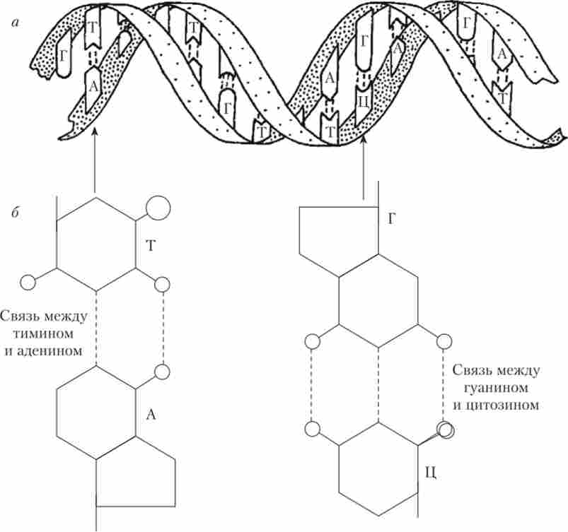 ��������� ���
