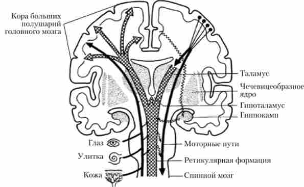 ����������� ��������