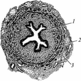 ���������� ����� ��������