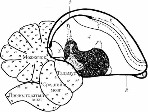 ������� ��������� �������� ����� ������ (�� �. D. Jarvis)