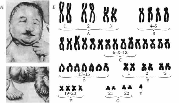 ������� �����쳿 13 (������� �����)