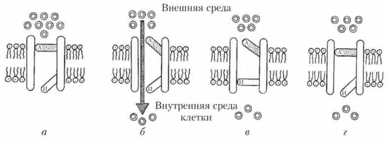 ����� ������ ���������������� �������� ������